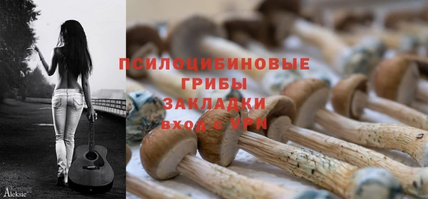 дживик Шарыпово