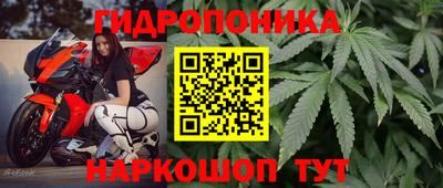a pvp Краснознаменск