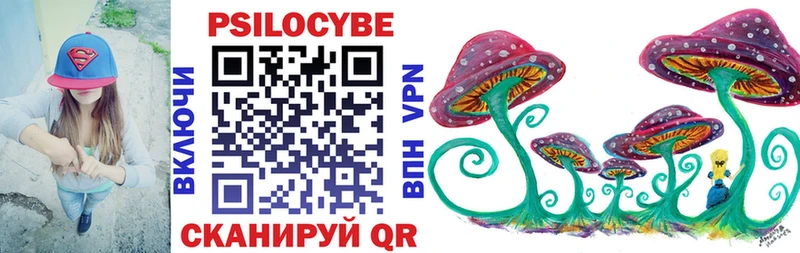 Галлюциногенные грибы Psilocybine cubensis  Арзамас 