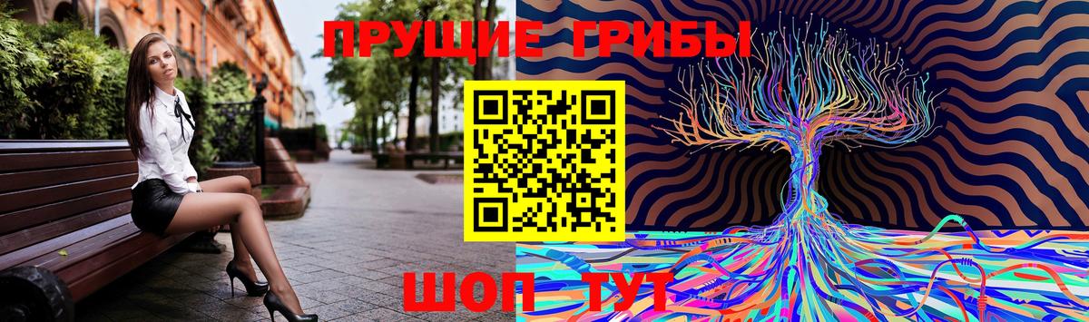 Арзамас  Галлюциногенные грибы Magic Shrooms  Вход с VPN 